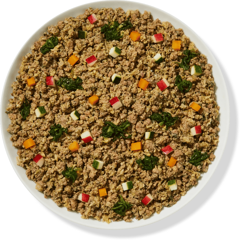 A bowl of Fresh Frozen dog food