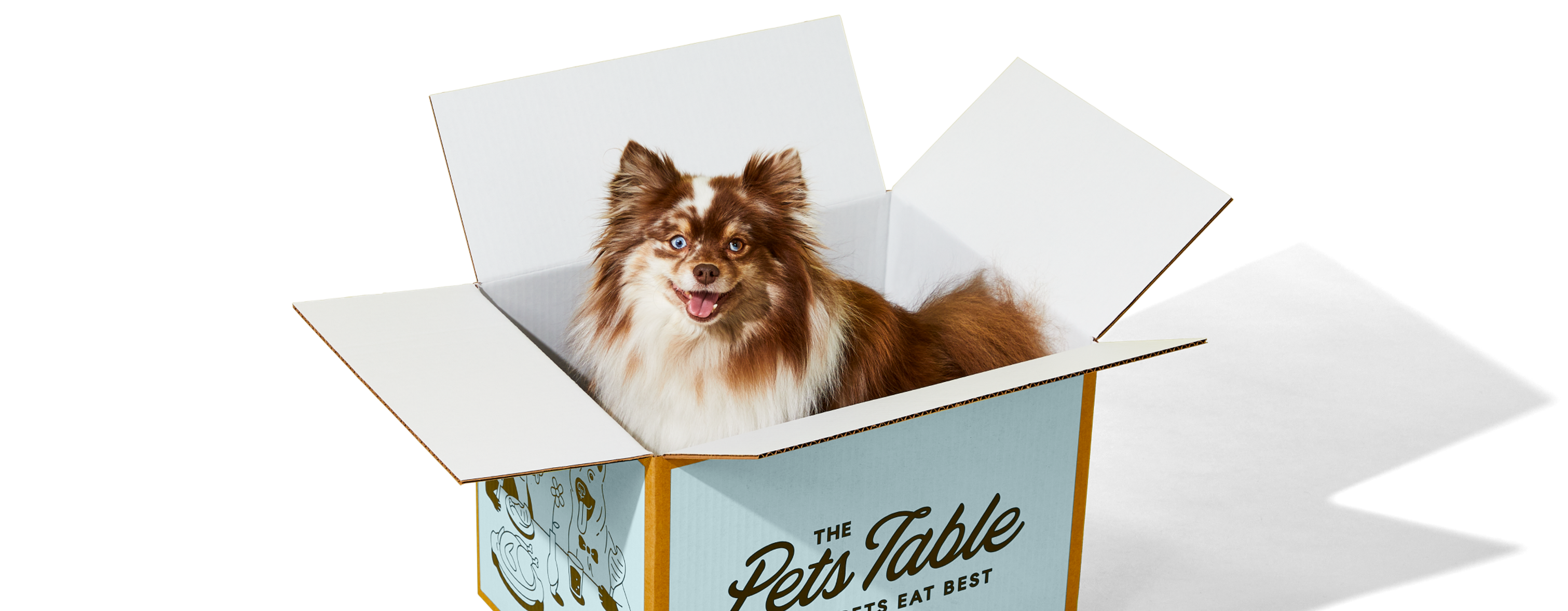 Why your pup will love The Pets Table